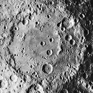 <p>what is shown in the picture?</p>