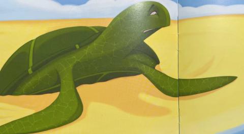 <p>A turtle was on the ______.</p>