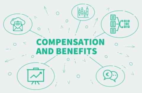 <p>Which of this is NOT a process of Compensation and Benefits?</p>