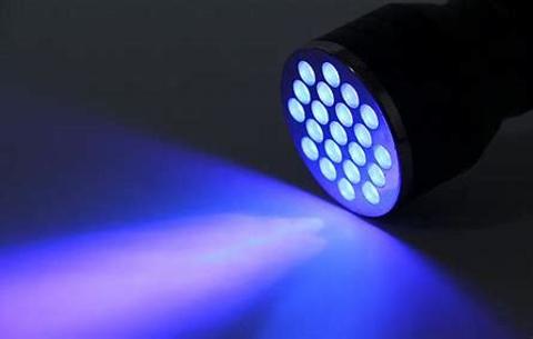 <p>手电筒照出的是什么光呢？</p>