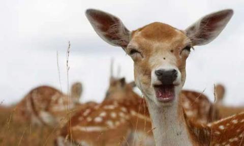 <p>哪种类型对大多数事情都很随意&#xff1f;</p>