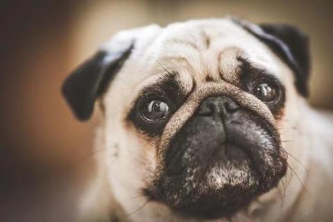 <p>哪种类型最有可能注意到你不在状态&#xff1f;</p>