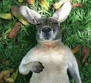 <p>如果你提供了太多的细节&#xff0c;而不让他们参与谈话&#xff0c;哪种类型的人会更容易目光呆滞&#xff1f;</p>