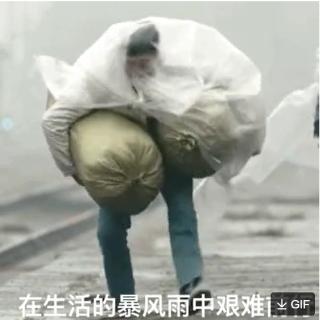 <p>以下表情包出自？</p>