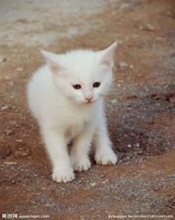 <p>I can see a _.</p>