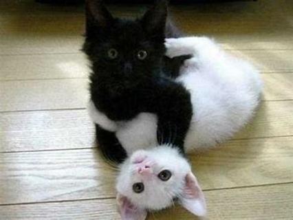 <p>I like _.</p>