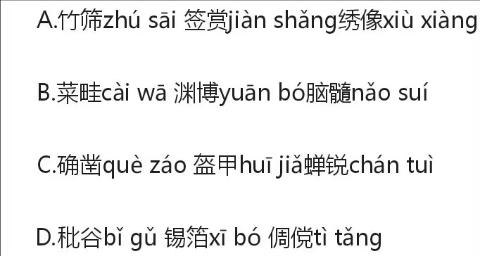 <p>选出下面字形、读音完全正确的一项</p>