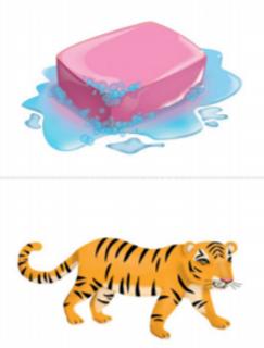 <p>Do they have the same sound?</p>