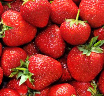 <p>cǎo （ m    ）</p>