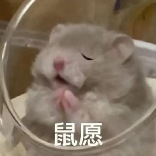 <p>试译以下具有中国文化特色的四字祝福语。 1. 金玉满堂2. 生意兴隆3. 岁岁平安4. 恭喜发财5. 和气生财6. 心想事成7. 步步高升8. 国泰民安</p>