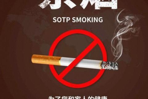 “531”禁烟节知识竞赛