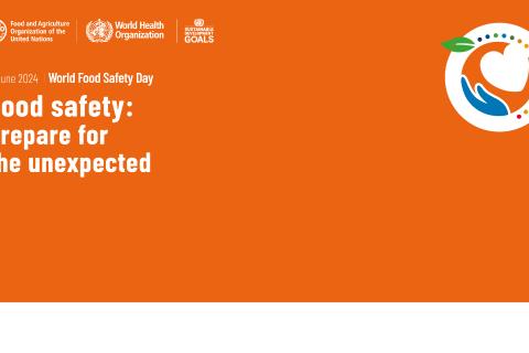 食品安全与法规 - 2024世界食品安全周