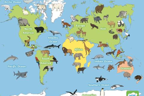 Unit 8 Year 3 Super Minds Grammar -Past tense