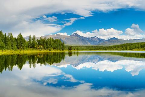 呼吸运动的调节
