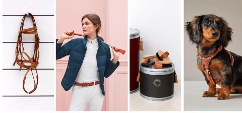 <p>马具部门包括哪几个产品系列</p>