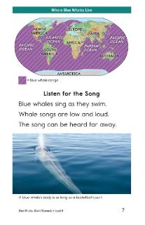 <p>The map shows that blue whales live <u>            </u>.</p>