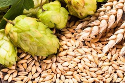 2024年啤酒艺术PK赛