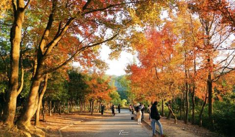 <p>你會如何形容香港秋天時的氣候特徵？<span data-tex=""> </span></p>