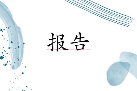 报告
