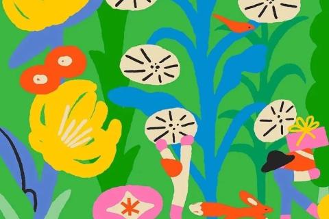 12.20周五剥豆豆