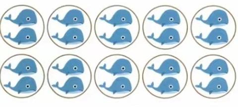 <p>一共有多少只鲸鱼&#xff1f;请用乘法算式来表示&#xff08;多选&#xff09;</p>