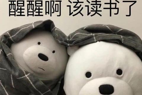 学位英语U3 vocab