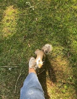 <p>What’s this?</p>