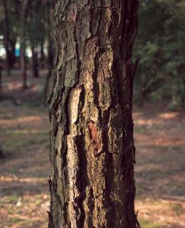 <p>What’s this?</p>