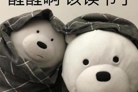 TCP/IP参考模型、IP地址、域名