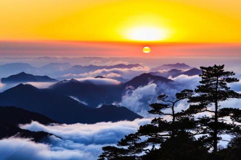 成语理解与选择