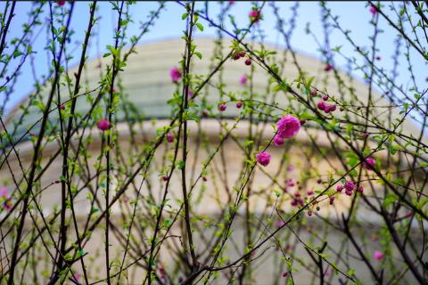 通过科学方式选出最渊博、帅气、手速快的人