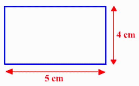 <p>calculate the perimeter of this rectangle.</p>