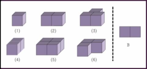 <p>下列立体图形中，哪几个从右面可以看到B?</p>