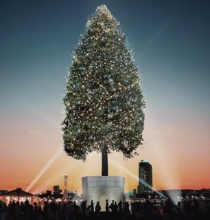 <p>最高聖誕樹在哪&#xff1f;Where is the tallest Christmas tree located? </p>