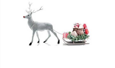 <p>以下哪一個不是「拉雪橇的鹿」的名字&#xff1f; Which of the following is not a name of one of Santa&#39;s reindeer</p>