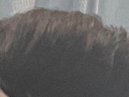 <p>这是谁的高颅顶 </p>