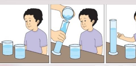 <p>What can be <strong>infer</strong> from the figure below？</p>