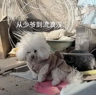 <p>在淘宝平台购物不能使用平台以外的支付方式。</p>