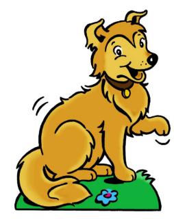 <p>What&#39;s this?</p>