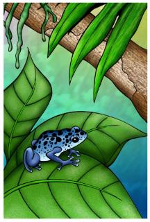 <p>This is the fish.</p>