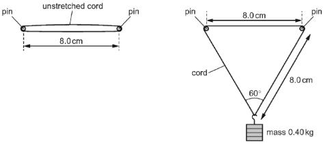 <p>calculate the strain of the cord?保留一位小数</p>