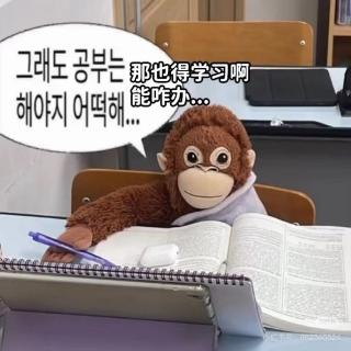 <p>公司决议内容违反公司章程的无效</p>