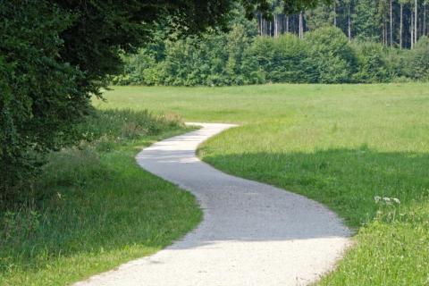 <p>What road type is it?</p>