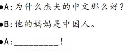 <p>Please input what A should say</p>