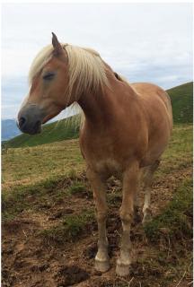 <p>Choose(选择) the correct one.</p>