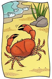 <p>This is the crab.</p>