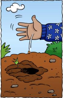 <p>This is the seed.</p>