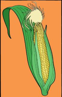 <p>What&#39;s this?</p>