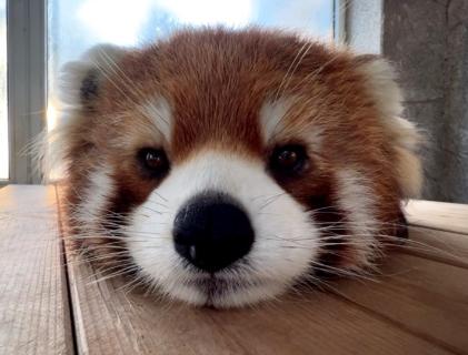 <p>互联网金融对金融发展的影响不包括</p>