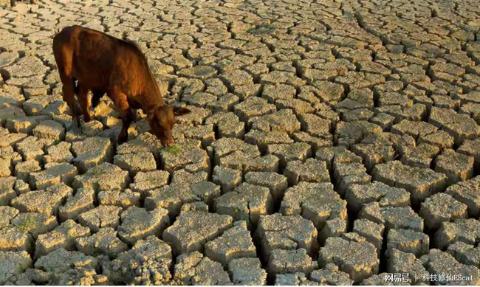 <p>此图说明water resources are ____.</p>